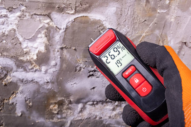 Mold Removal and Inspection in Stafford Courthouse, VA